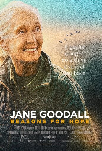 jane gooall reasons for hope at the bushplane museum
